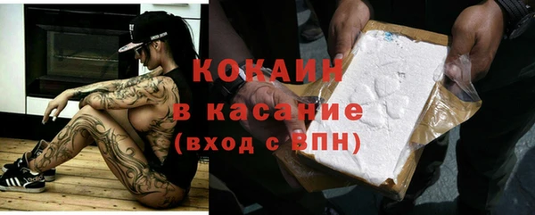 трава Новозыбков