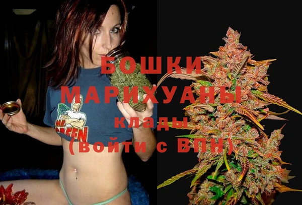трава Новозыбков