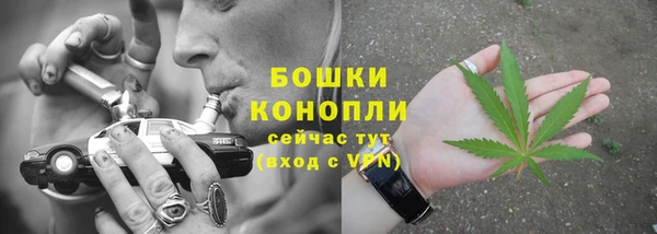 трава Новозыбков