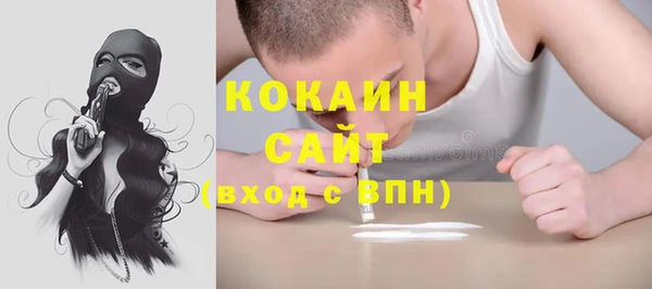 трава Новозыбков
