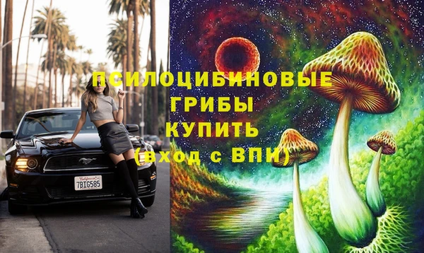 герыч Новодвинск