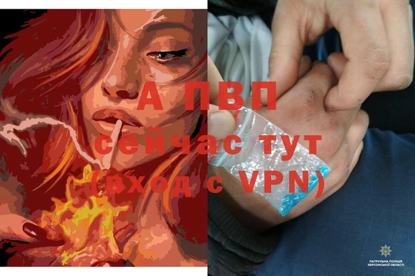 Альфа ПВП Новокубанск