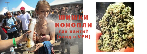 трава Новозыбков