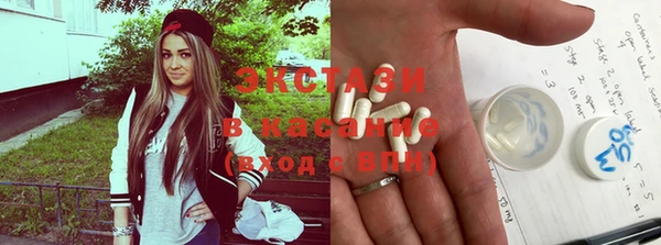трава Новозыбков