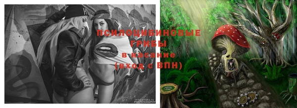 трава Новозыбков