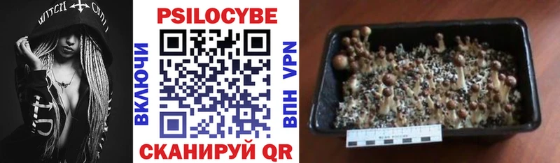 Галлюциногенные грибы Magic Shrooms  Владивосток 