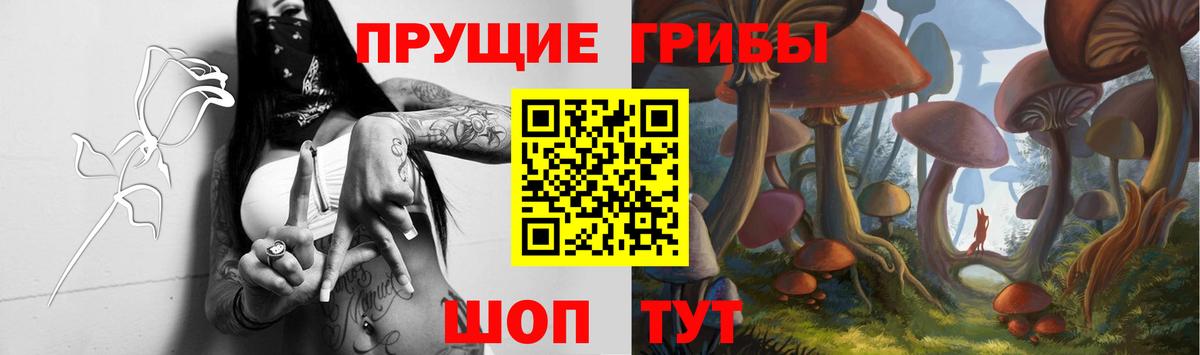 Владивосток  Псилоцибиновые грибы ЛСД  Вход с VPN 