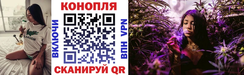 где купить наркоту  Владивосток  блэк спрут зеркало  Бошки Шишки сатива 